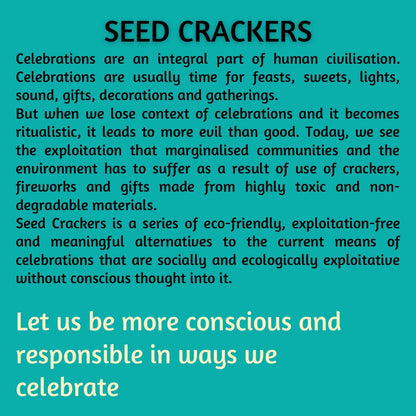 Kezevel Handcrafted Plantable Seed Cracker Gift Box - Set of 4 Seed Embedded Look Alike Crackers Grow into Plants, Beej Patakha, Size 13.6X13.6X4 CM - Kezevel