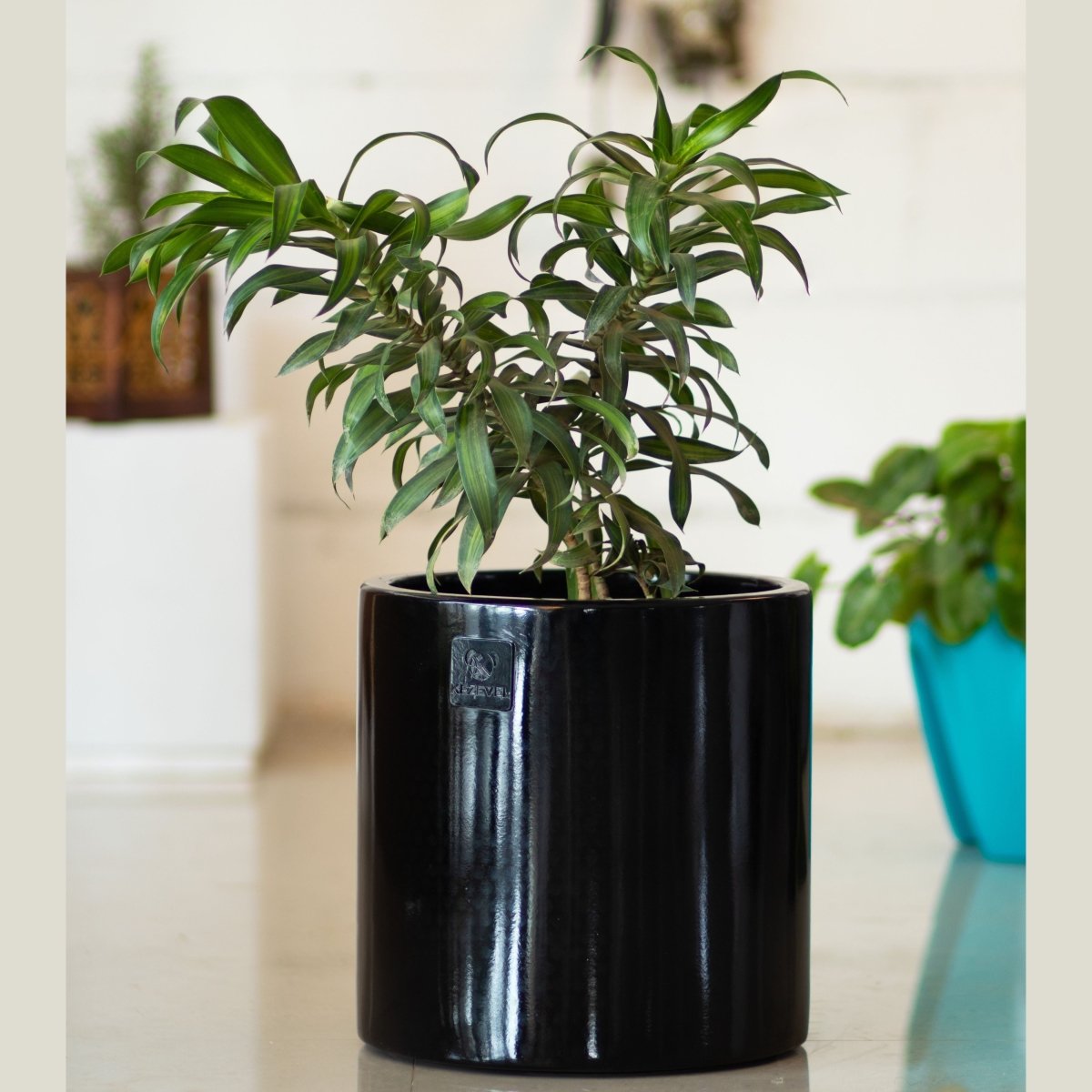Kezevel Indoor Outdoor FRP Planter - Lightweight and Durable Glossy Black Cylindrical Flower Pot, Planter for Garden Décor