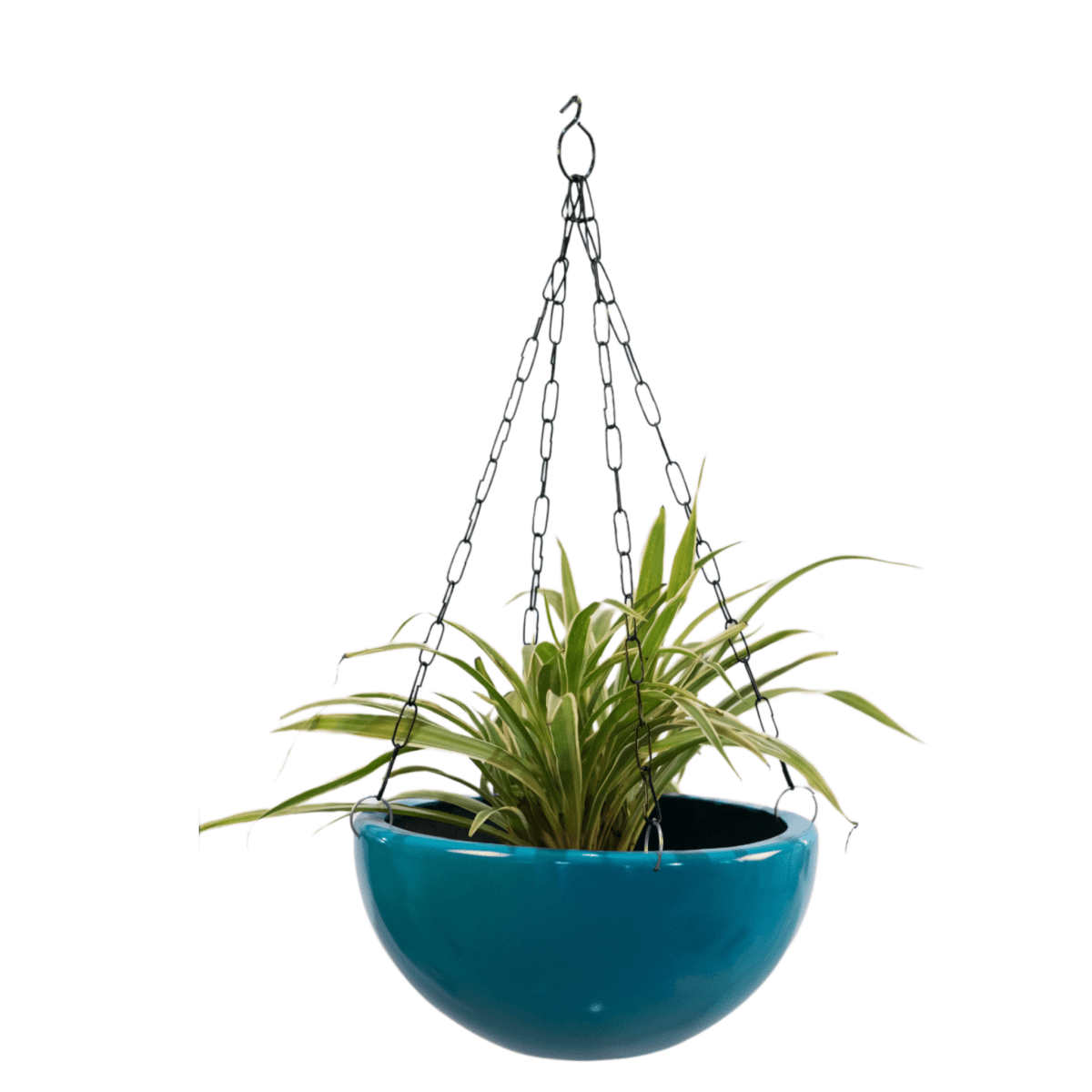 turquoise hanging planter Kezevel Indoor Outdoor FRP Planters - Lightweight Durable Glossy Turquoise Blue Finish Flower Pot , Hanging Planter Decor , Size 30.48X30.48X15.24 CM