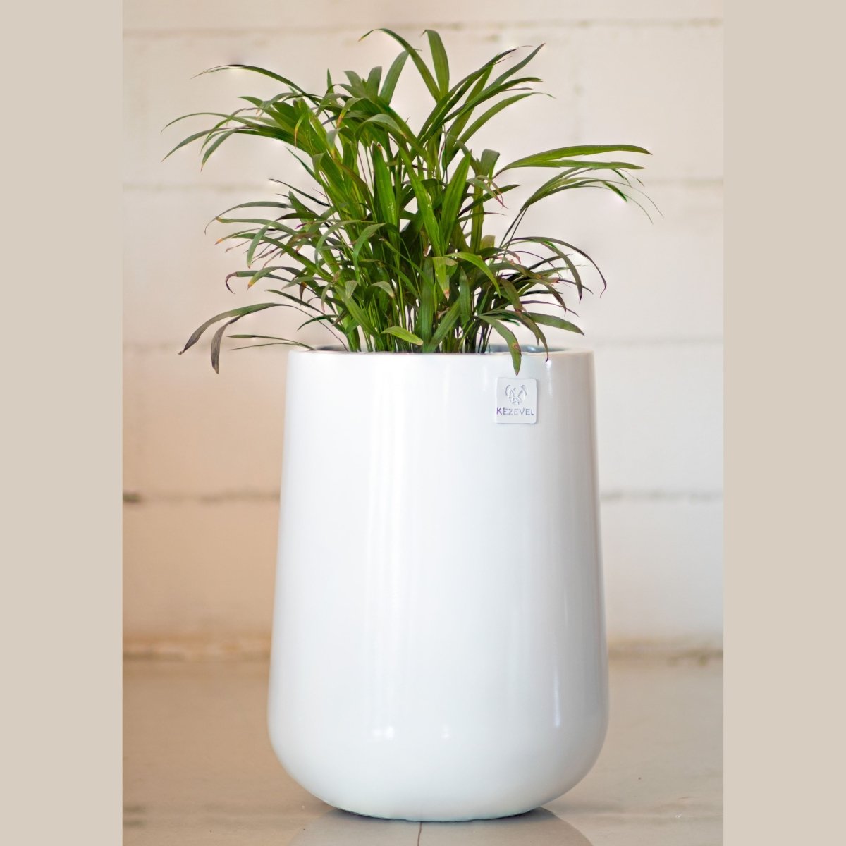 Kezevel Indoor Outdoor FRP Planters - Lightweight Durable Glossy White Finish Plumpy Flower Pot, Planter for Garden Décor