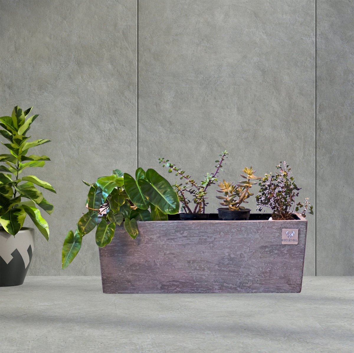 Kezevel Indoor Outdoor FRP Planters - Lightweight Durable Matte Faux Finish Rectangle Railing Flower Pot, Tree Planter Garden