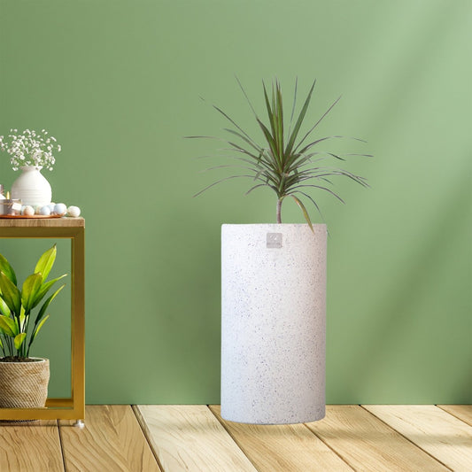 Kezevel Indoor Outdoor FRP Planters - Lightweight Durable Matte White Stone Finish Cylindrical Flower Pot, Garden Planter