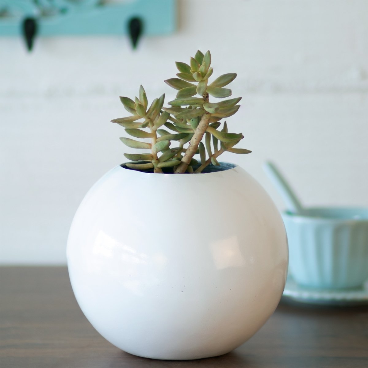 spherical plant pot Kezevel Indoor Outdoor FRP Planters - White Sphere Flower Pot, Lightweight Durable Glossy Tree Planter for Garden Home Décor, Size 20.32X20.32X20.32CM